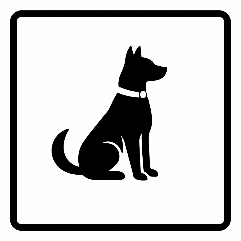 Basisausbildung